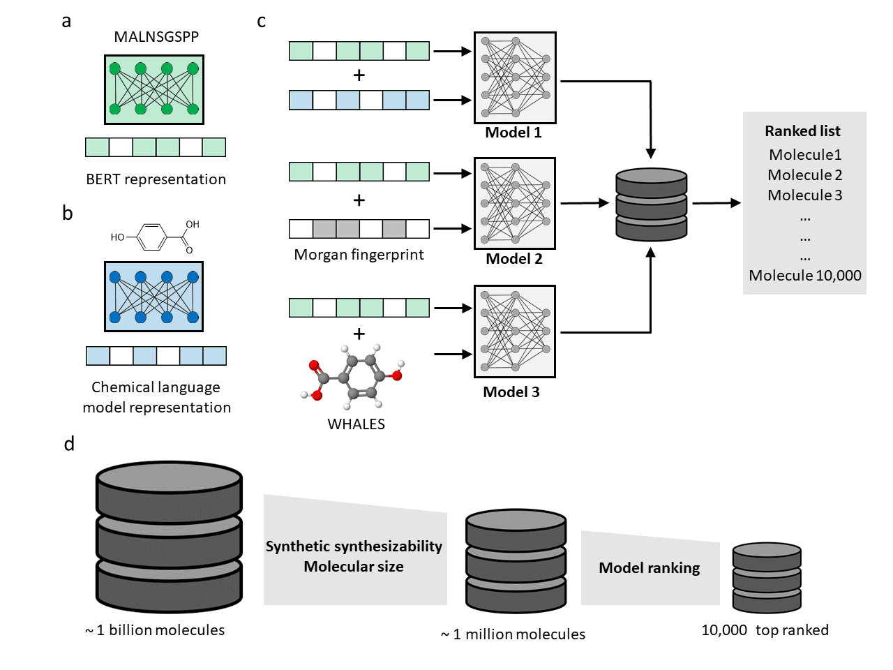 Project graphic representation